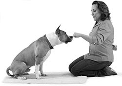 Иллюстрация к книге — Дрессировка без наказания. Пять недель, которые сделают вашу собаку лучшей в мире [i_089.jpg]