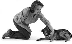 Иллюстрация к книге — Дрессировка без наказания. Пять недель, которые сделают вашу собаку лучшей в мире [i_090.jpg]