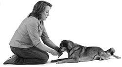 Иллюстрация к книге — Дрессировка без наказания. Пять недель, которые сделают вашу собаку лучшей в мире [i_093.jpg]