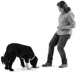 Иллюстрация к книге — Дрессировка без наказания. Пять недель, которые сделают вашу собаку лучшей в мире [i_094.jpg]