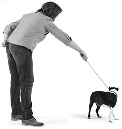 Иллюстрация к книге — Дрессировка без наказания. Пять недель, которые сделают вашу собаку лучшей в мире [i_099.jpg]