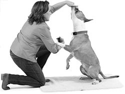 Иллюстрация к книге — Дрессировка без наказания. Пять недель, которые сделают вашу собаку лучшей в мире [i_104.jpg]