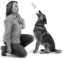 Иллюстрация к книге — Дрессировка без наказания. Пять недель, которые сделают вашу собаку лучшей в мире [i_108.jpg]