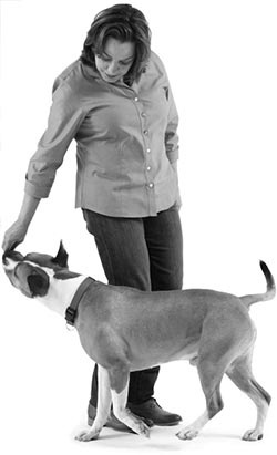 Иллюстрация к книге — Дрессировка без наказания. Пять недель, которые сделают вашу собаку лучшей в мире [i_112.jpg]