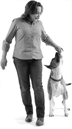 Иллюстрация к книге — Дрессировка без наказания. Пять недель, которые сделают вашу собаку лучшей в мире [i_114.jpg]