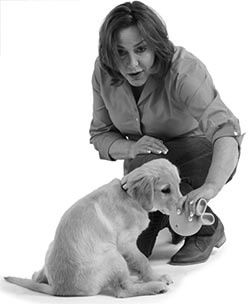 Иллюстрация к книге — Дрессировка без наказания. Пять недель, которые сделают вашу собаку лучшей в мире [i_121.jpg]