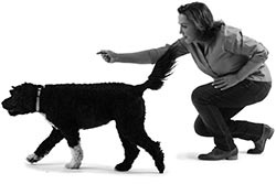 Иллюстрация к книге — Дрессировка без наказания. Пять недель, которые сделают вашу собаку лучшей в мире [i_127.jpg]