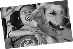 Иллюстрация к книге — Дрессировка без наказания. Пять недель, которые сделают вашу собаку лучшей в мире [i_134.jpg]