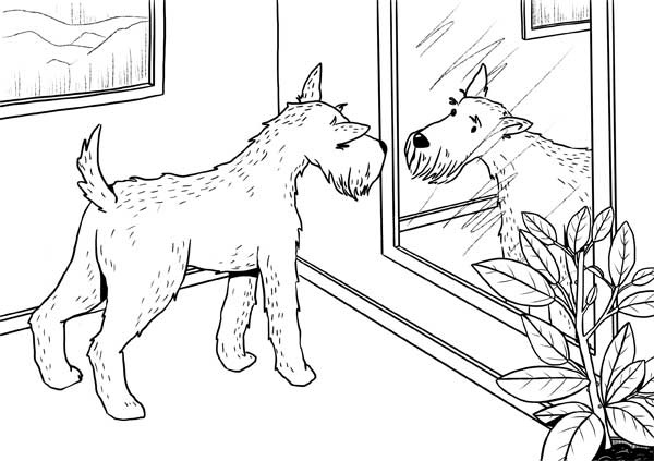 Иллюстрация к книге — Гладь, люби, хвали: нескучное руководство по воспитанию собаки [i_005.jpg]