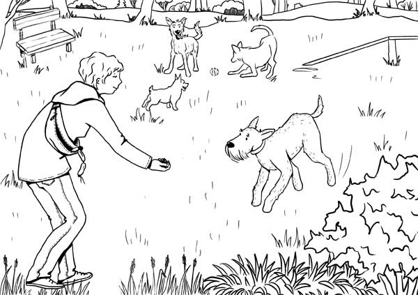 Иллюстрация к книге — Гладь, люби, хвали: нескучное руководство по воспитанию собаки [i_010.jpg]