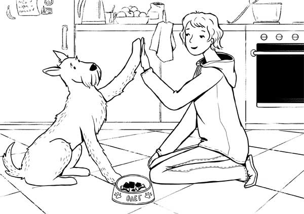 Иллюстрация к книге — Гладь, люби, хвали: нескучное руководство по воспитанию собаки [i_012.jpg]