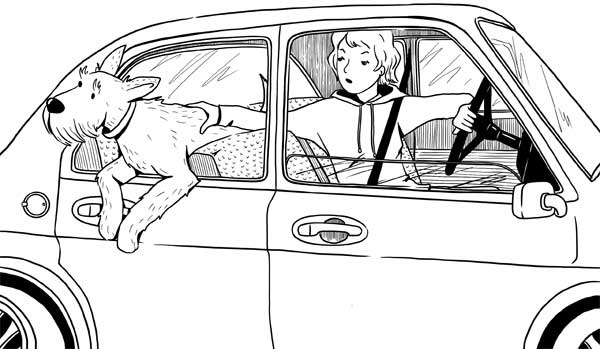 Иллюстрация к книге — Гладь, люби, хвали: нескучное руководство по воспитанию собаки [i_013.jpg]