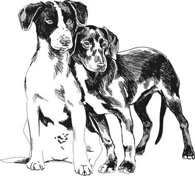 Иллюстрация к книге — Любовь к каждой собаке [i_017.jpg]