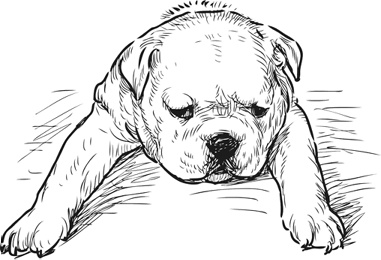 Иллюстрация к книге — Любовь к каждой собаке [i_019.jpg]