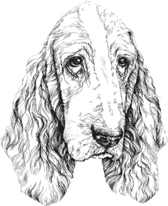 Иллюстрация к книге — Любовь к каждой собаке [i_023.jpg]