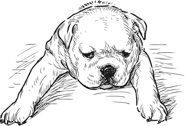 Иллюстрация к книге — Любовь к каждой собаке [i_033.jpg]