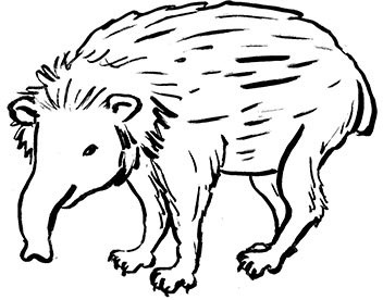 Иллюстрация к книге — Кракены и ложь [i_003.jpg]