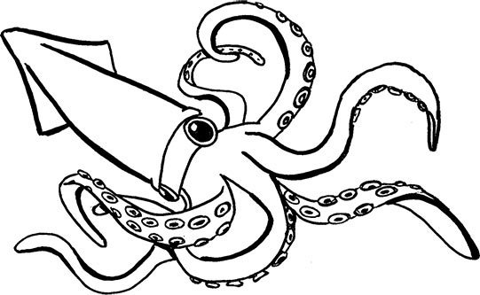 Иллюстрация к книге — Кракены и ложь [i_011.jpg]