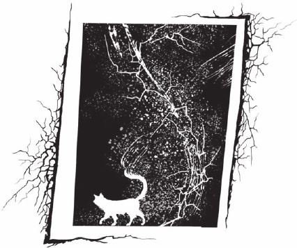 Иллюстрация к книге — Приоткрытая дверь  [i_027.jpg]