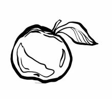 Иллюстрация к книге — Серебряный Ястреб [i_008.jpg]