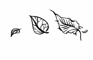 Иллюстрация к книге — Серебряный Ястреб [i_012.jpg]