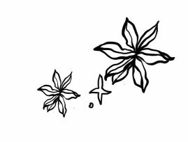 Иллюстрация к книге — Серебряный Ястреб [i_014.jpg]