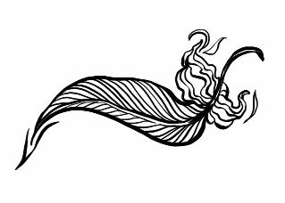 Иллюстрация к книге — Серебряный Ястреб [i_020.jpg]