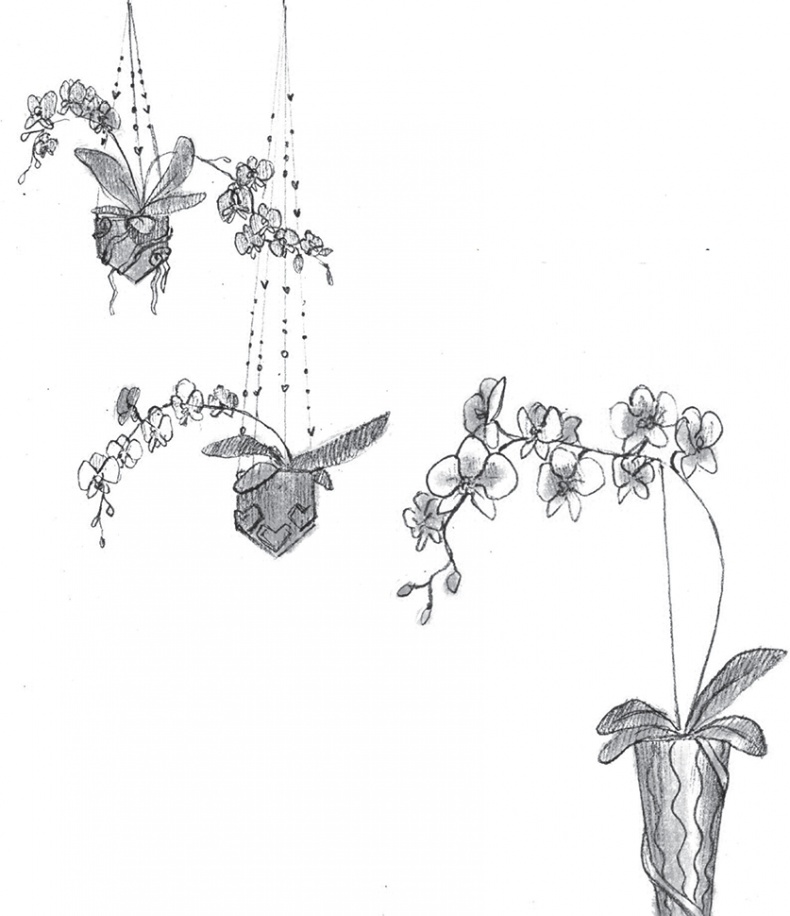 Иллюстрация к книге — Сердцевинум [img162ac8467ad341769ec08be20db09aaa.png_0.jpg]