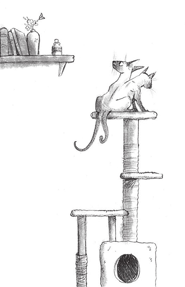 Иллюстрация к книге — Сердцевинум [img5d196bb92b8f44f8af947943ff098e68.png_0.jpg]