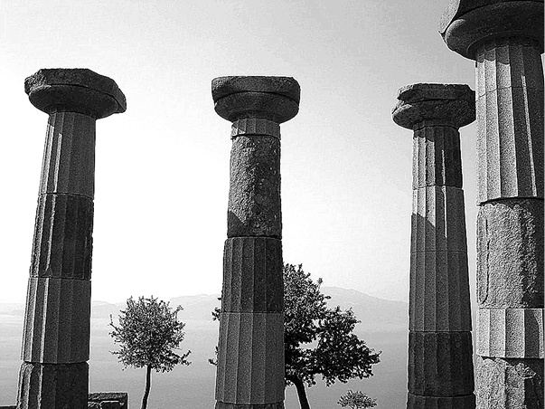 Иллюстрация к книге — Лагуна. Как Аристотель придумал науку  [i_006.jpg]