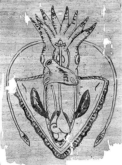Иллюстрация к книге — Лагуна. Как Аристотель придумал науку  [i_011.jpg]