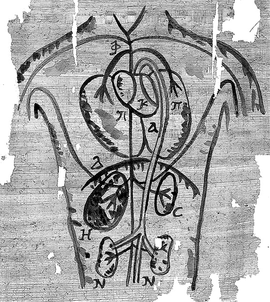 Иллюстрация к книге — Лагуна. Как Аристотель придумал науку  [i_012.jpg]