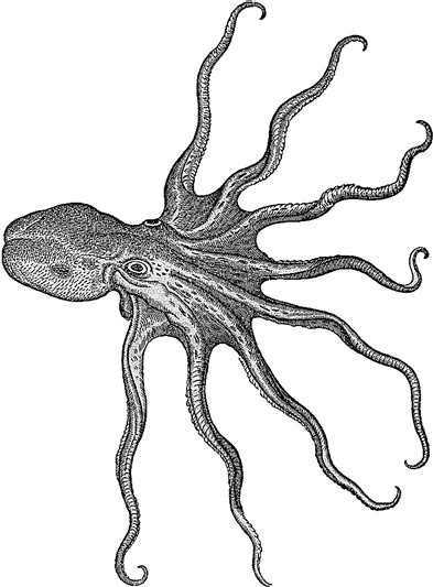 Иллюстрация к книге — Лагуна. Как Аристотель придумал науку  [i_016.jpg]