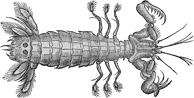Иллюстрация к книге — Лагуна. Как Аристотель придумал науку  [i_018.jpg]