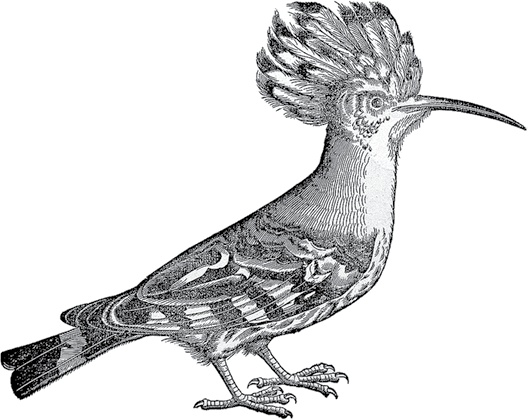 Иллюстрация к книге — Лагуна. Как Аристотель придумал науку  [i_028.jpg]