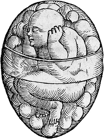 Иллюстрация к книге — Лагуна. Как Аристотель придумал науку  [i_038.jpg]