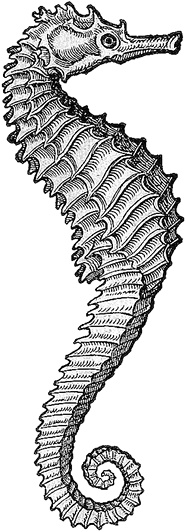 Иллюстрация к книге — Лагуна. Как Аристотель придумал науку  [i_053.jpg]