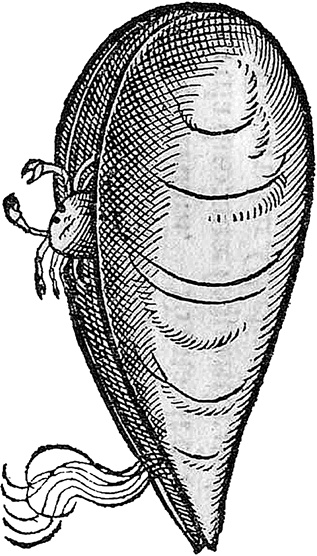 Иллюстрация к книге — Лагуна. Как Аристотель придумал науку  [i_057.jpg]