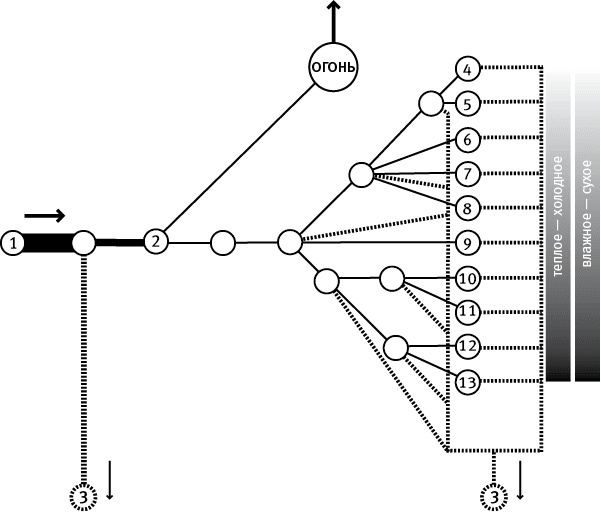 Иллюстрация к книге — Лагуна. Как Аристотель придумал науку  [i_078.jpg]