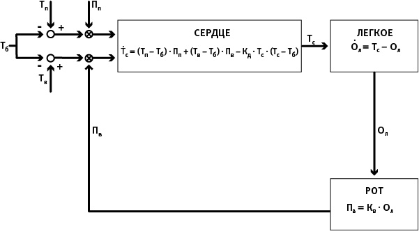 Иллюстрация к книге — Лагуна. Как Аристотель придумал науку  [i_080.jpg]