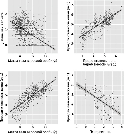Иллюстрация к книге — Лагуна. Как Аристотель придумал науку  [i_083.jpg]