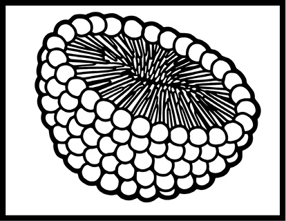 Иллюстрация к книге — Как изобрести все [i_056.jpg]