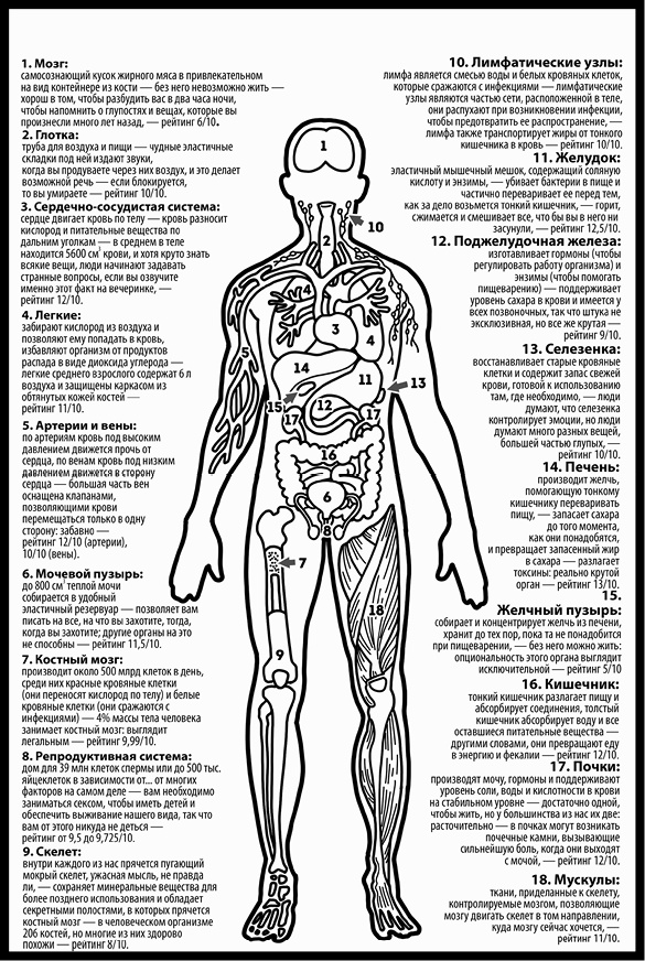 Иллюстрация к книге — Как изобрести все [i_141.jpg]