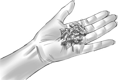 Иллюстрация к книге — Тайна дерева-храма [i_008.jpg]