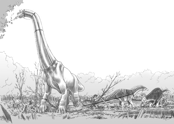 Иллюстрация к книге — Тайна дерева-храма [i_022.jpg]