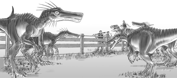 Иллюстрация к книге — Тайна дерева-храма [i_033.jpg]