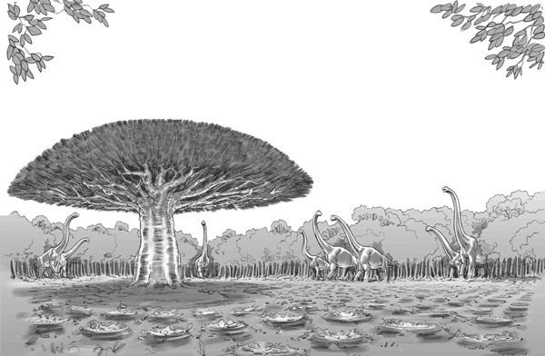 Иллюстрация к книге — Тайна дерева-храма [i_052.jpg]