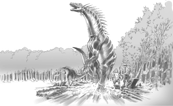 Иллюстрация к книге — Тайна дерева-храма [i_056.jpg]