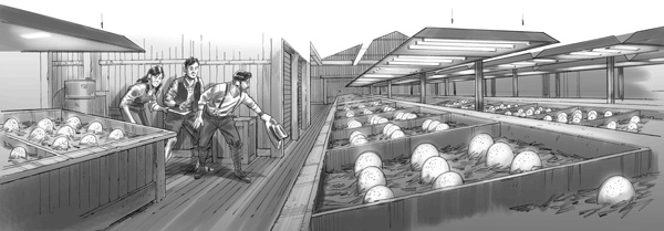 Иллюстрация к книге — Тайна дерева-храма [i_059.jpg]