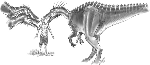 Иллюстрация к книге — Тайна дерева-храма [i_064.jpg]